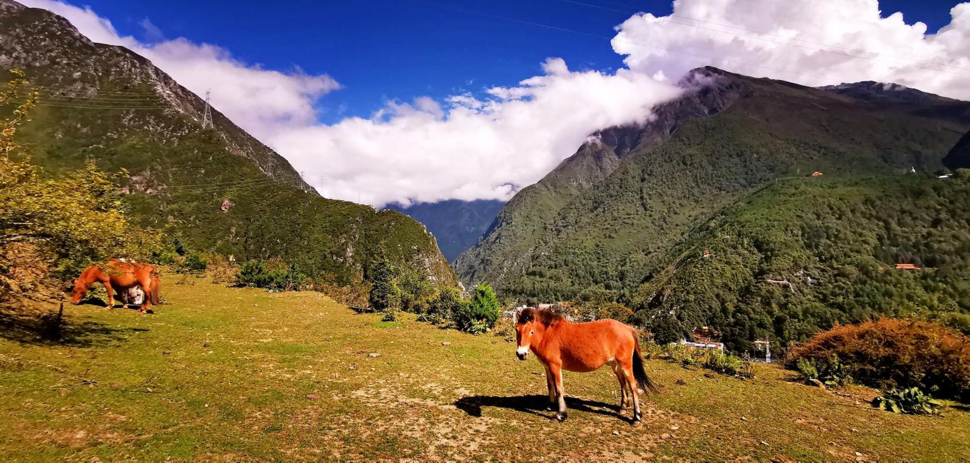 Kangding Guozhuang Nan Wu Hao Boutique Inn エクステリア 写真